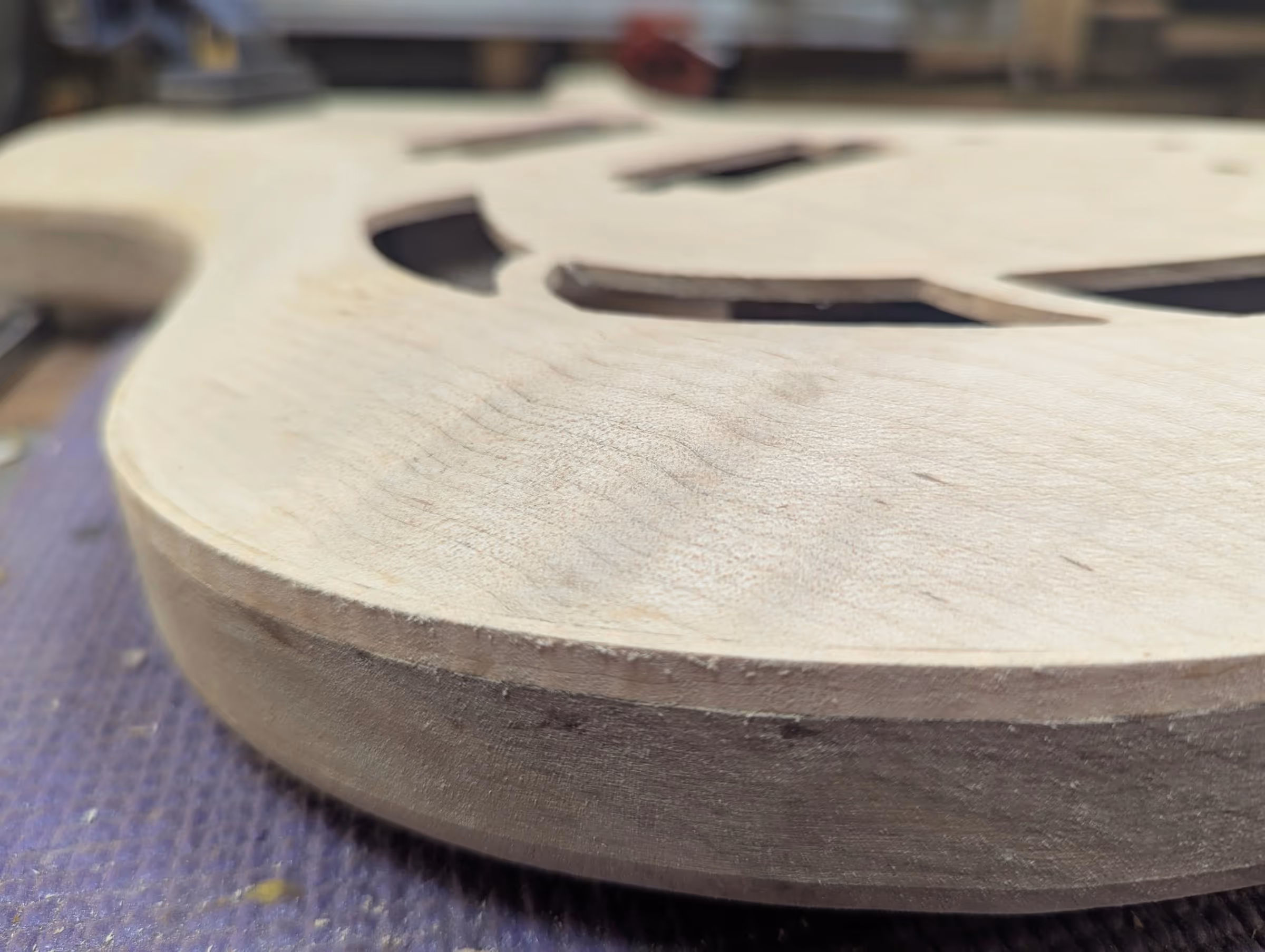 Polin Bohr 6 Semihollow — view 9