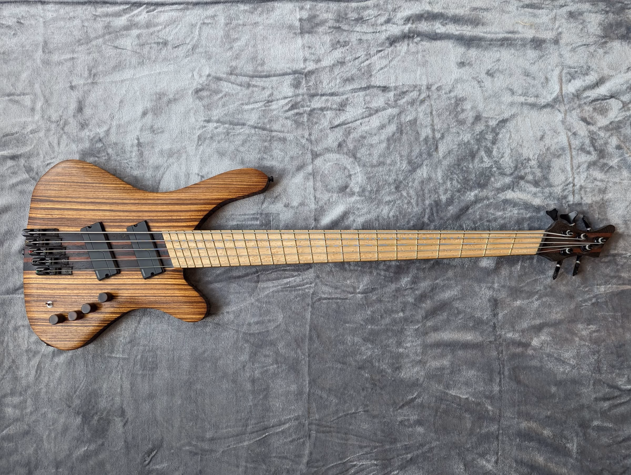 Polin Zebrano Bass