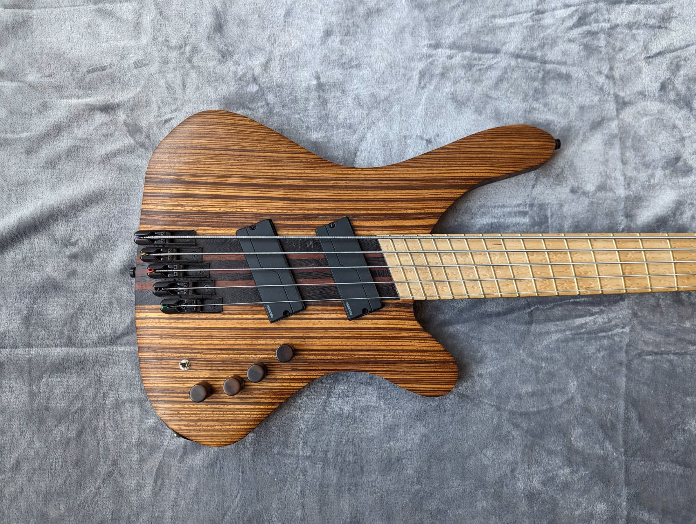 Polin Zebrano Bass
