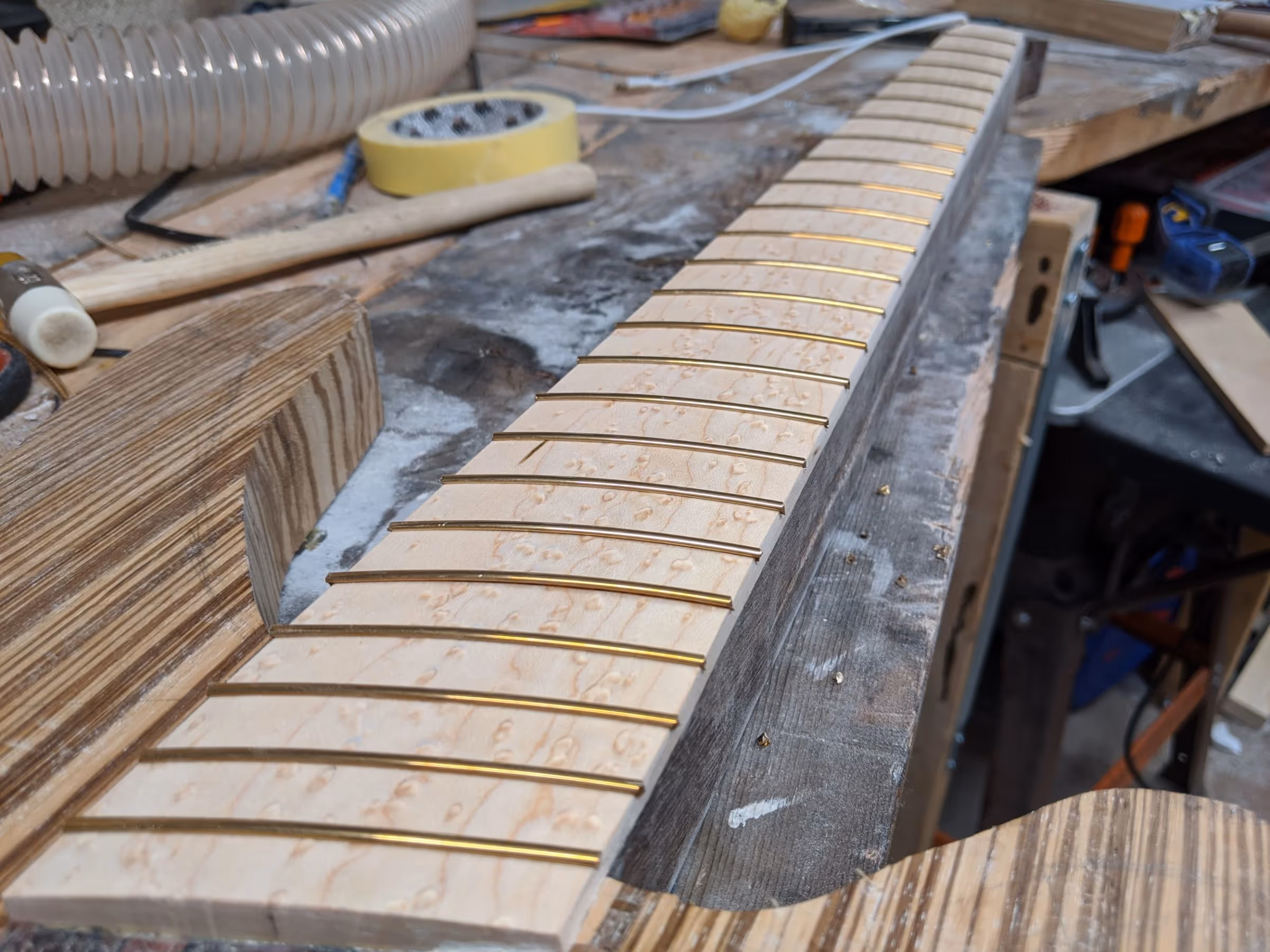Polin Zebrano Bass — view 10