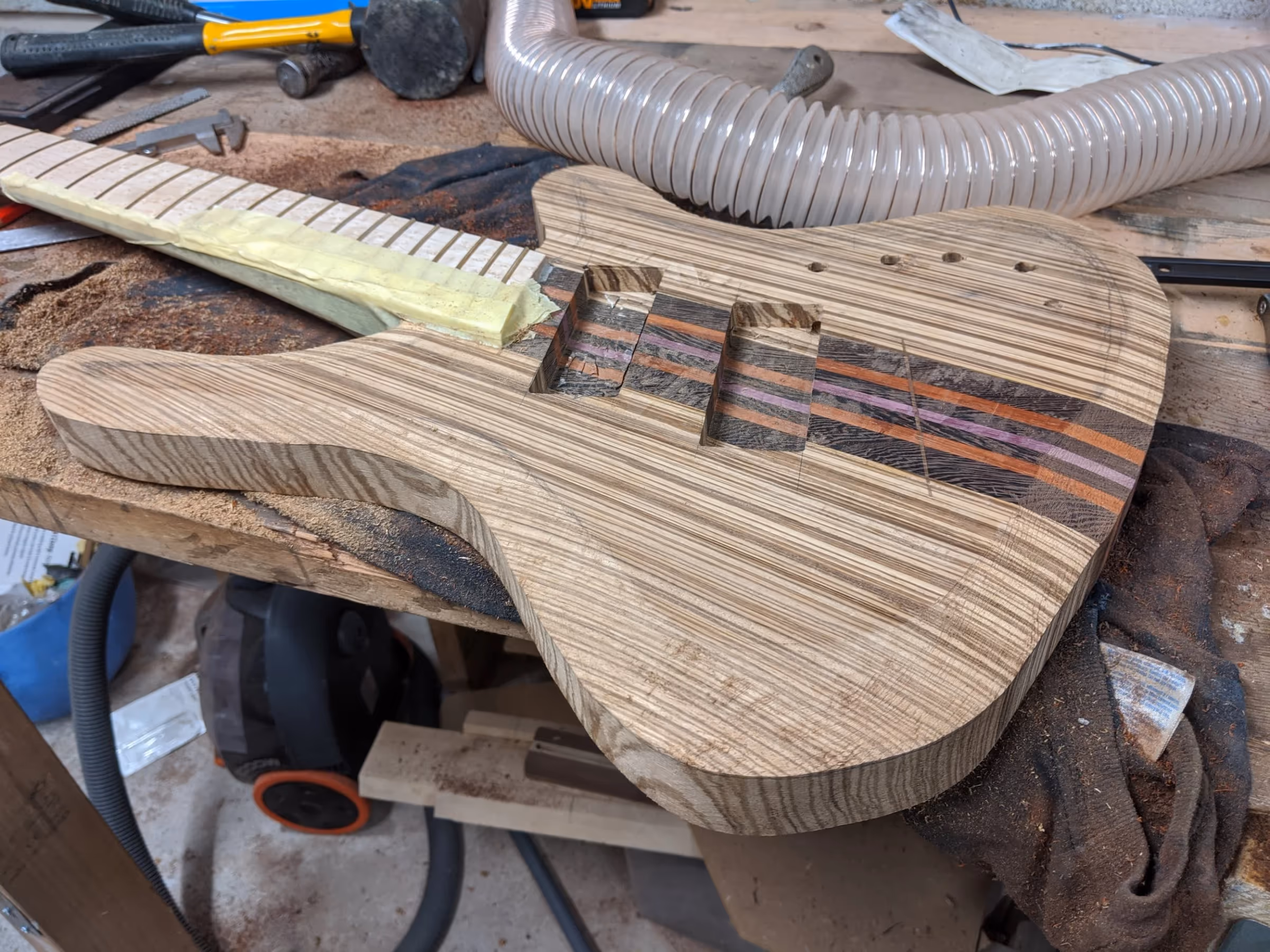 Polin Zebrano Bass — view 12