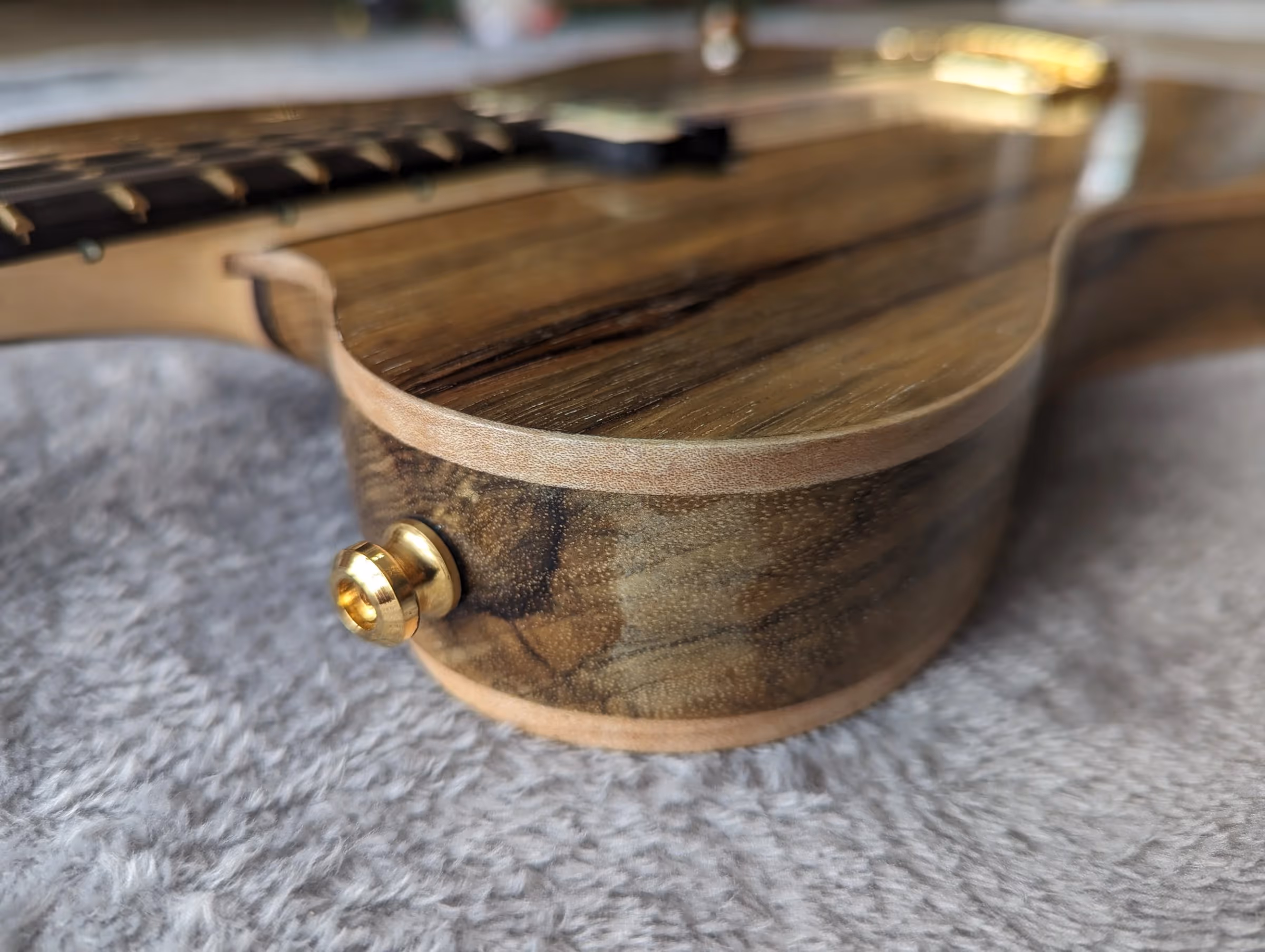 Polin Doomcaster — view 11
