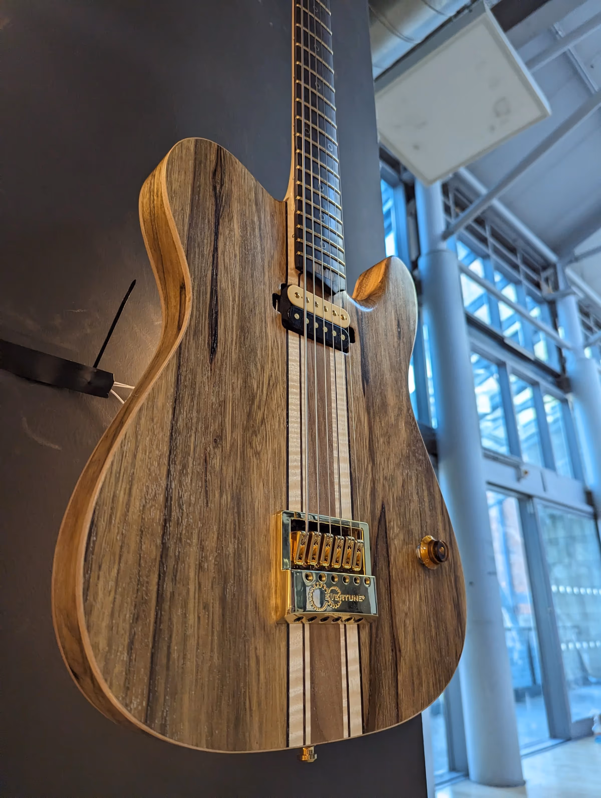 Polin Doomcaster — view 3