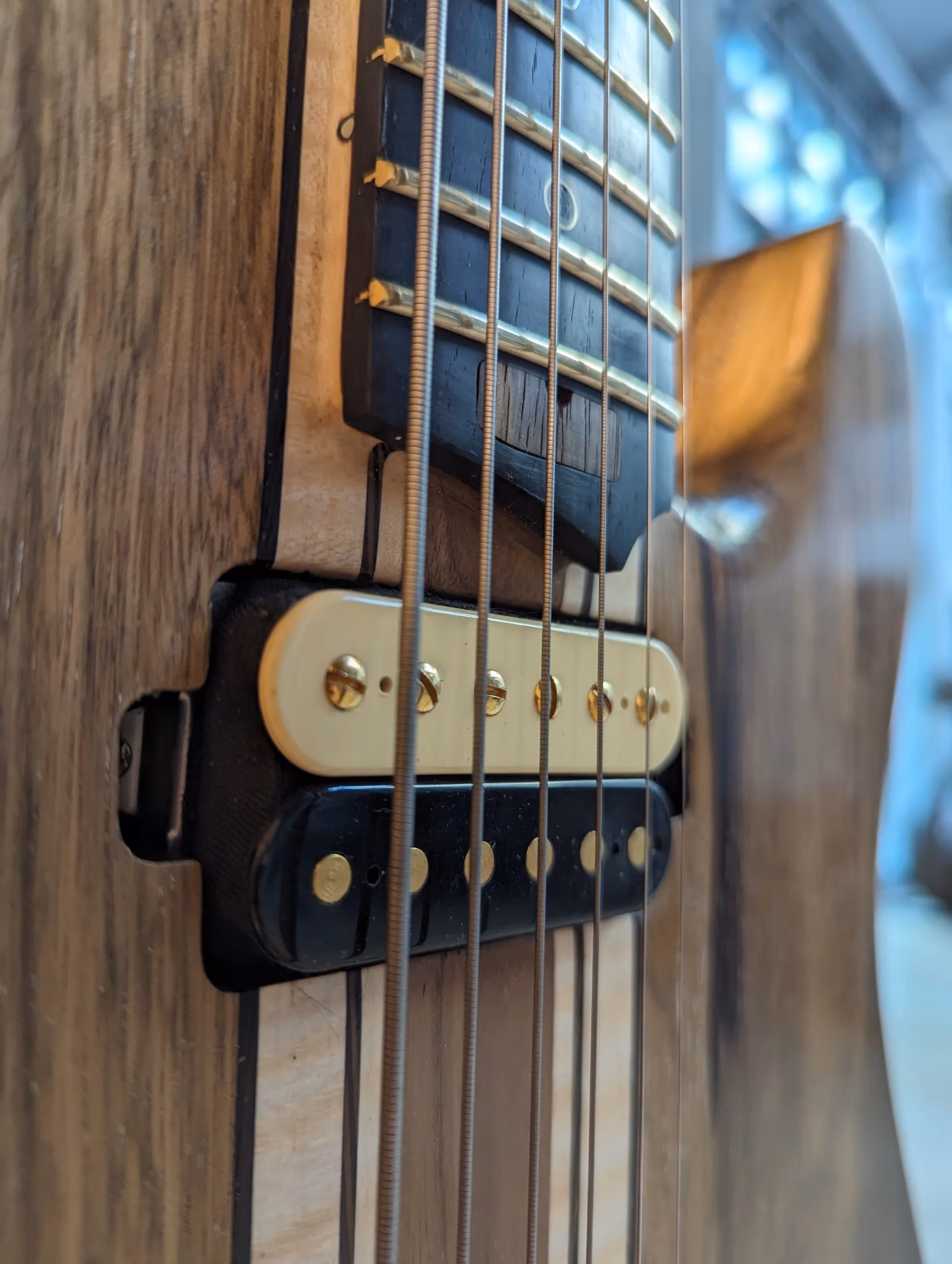 Polin Doomcaster — view 5