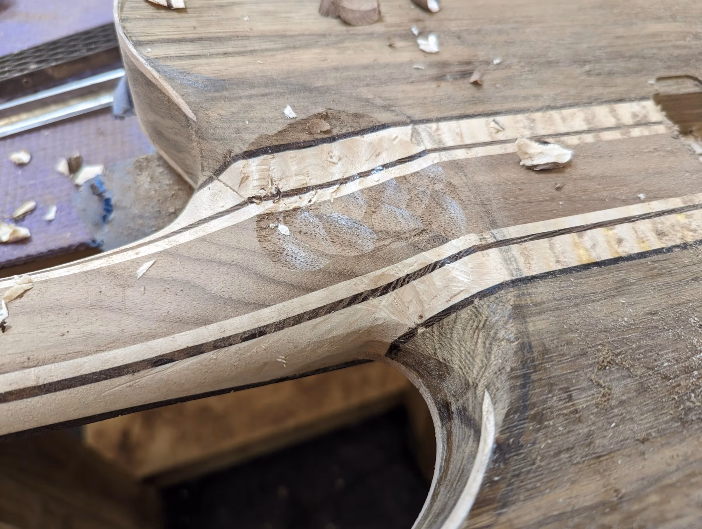 Polin Doomcaster — view 11