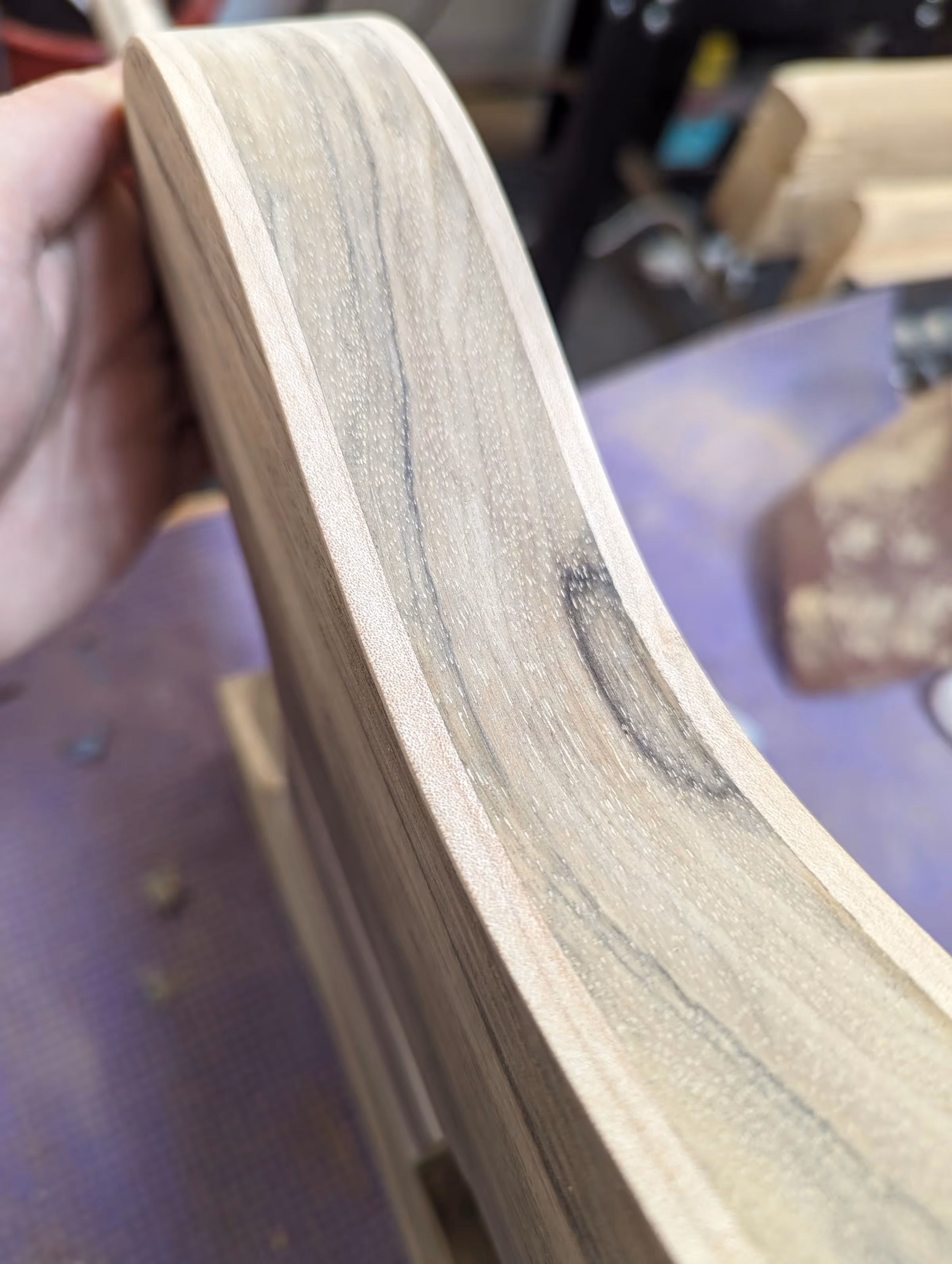 Polin Doomcaster — view 12