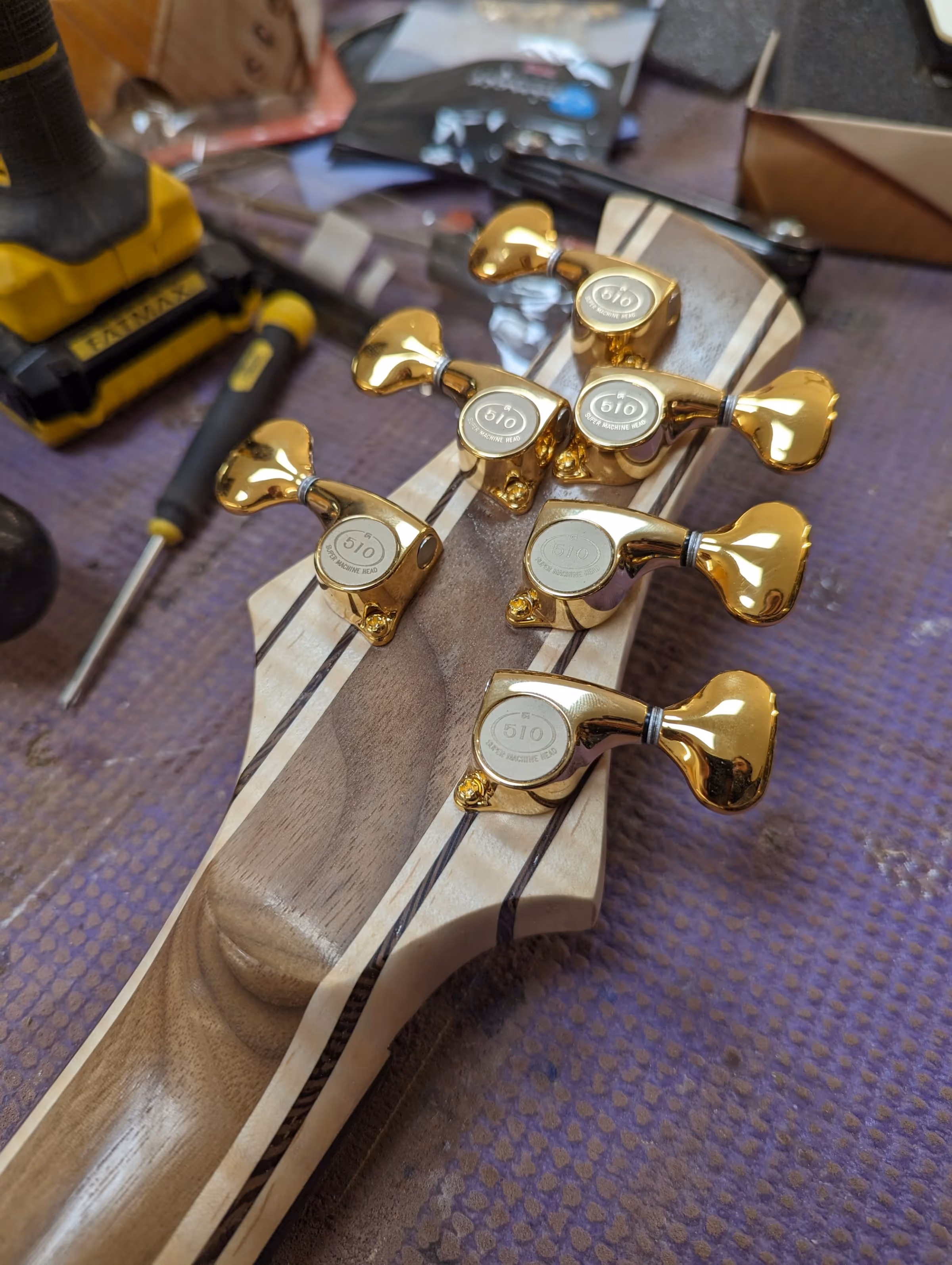 Polin Doomcaster — view 21